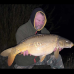 Linear - Hunts Corner