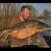 Linear - Hunts Corner